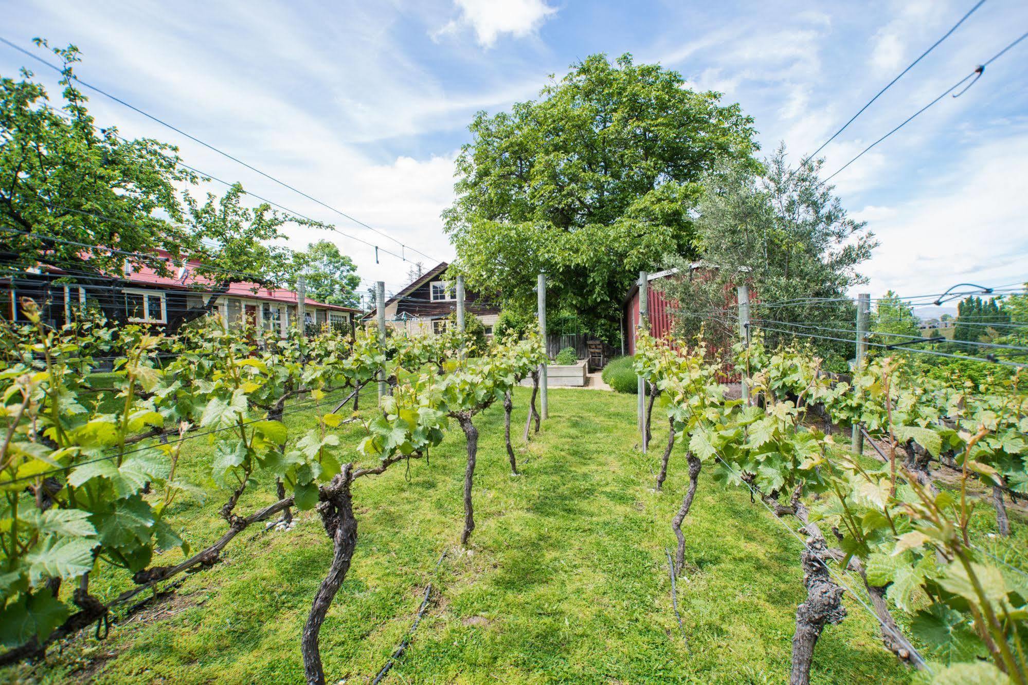Hartley Homestead Boutique Bed & Breakfast Clyde Zewnętrze zdjęcie